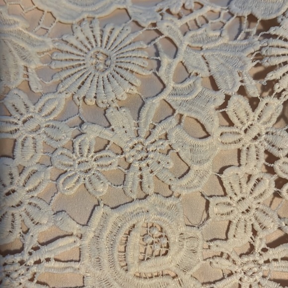 Blush Pink Lace Mini Dress - Picture 6 of 6